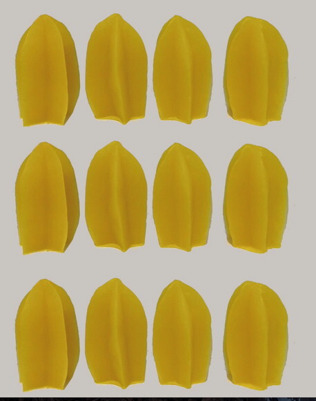 Lembrancinha Carambola Horta Roça Feira Fazendinha Frutas