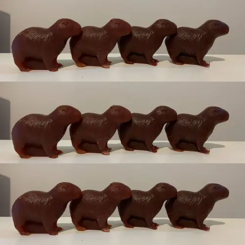Lembrancinha Capivara Animais Silvestres Roedor Amazonas