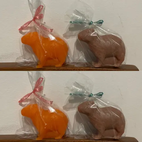 Lembrancinha Capivara Animais Silvestres Roedor Amazonas