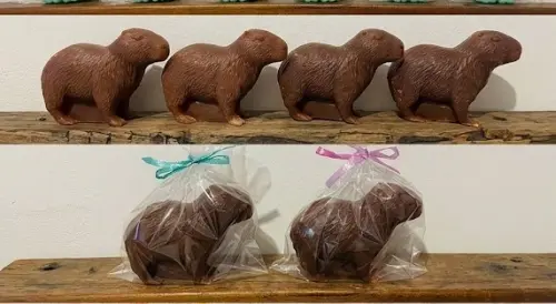 Lembrancinha Capivara Animais Silvestres Roedor Amazonas