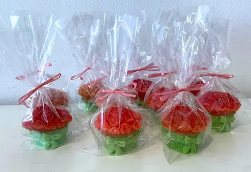 Lembrancinha Buque de Flores Buquezinho de Rosas Plantas noiva ge