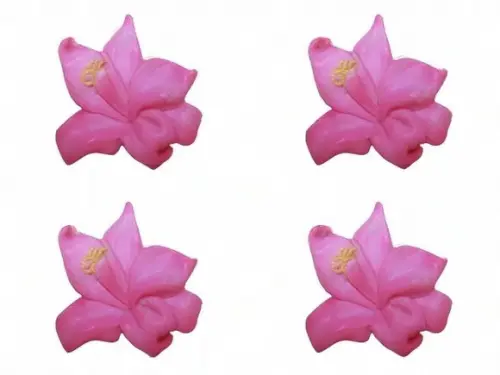 Lembrancinha Baunilha Vanilla Orquídea Flor Flores Planta natureza