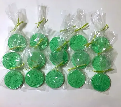 Lembrancinha Palmeiras Time de Futebol Paulista Porco Esporte