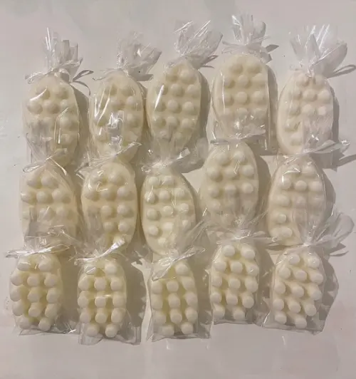 Lembrancinha Cacto Bola Suculenta Planta Flor Zen Nordeste