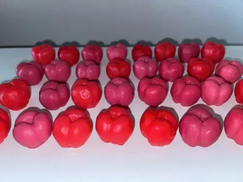 Lembrancinha Acerola Horta Feira Festa Fazendinha Frutas