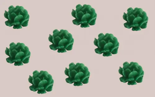 Lembrancinha Suculenta Dobrada Folha Planta Cacto Flor deserto sertão