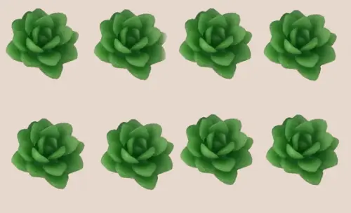 Lembrancinha mini Suculenta Folha Planta Cacto Flor deserto sert?