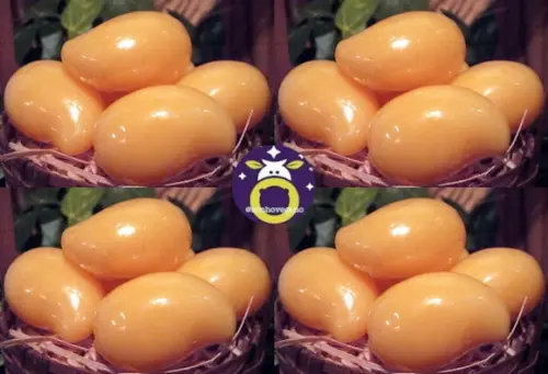 Lembrancinha Manga pequena Horta Havai Fazendinha Pomar sabonete de Frutas