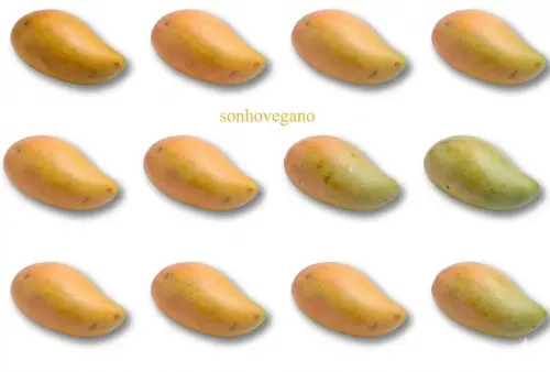 Lembrancinha Manga pequena Horta Havai Fazendinha Pomar sabonete 