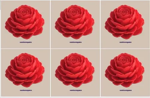 Lembrancinha Rosa Holandesa Rosas Flores Jardim Natureza cha de b