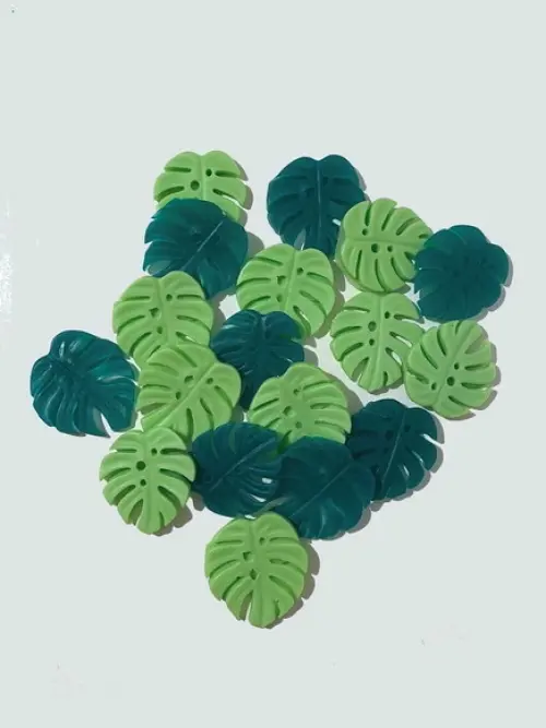 Lembrancinha Folha Costela de Adão Natureza Planta Folhagem