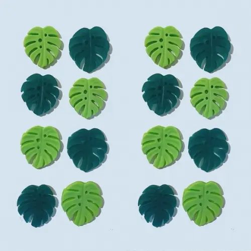 Lembrancinha Folha Costela de Adão Natureza Planta Folhagem