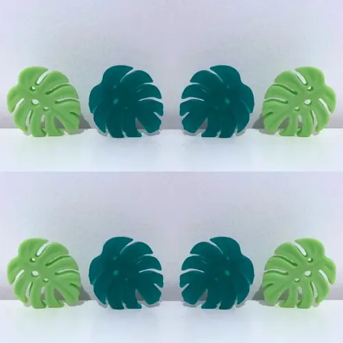 Lembrancinha Folha Costela de Adão Natureza Planta Folhagem