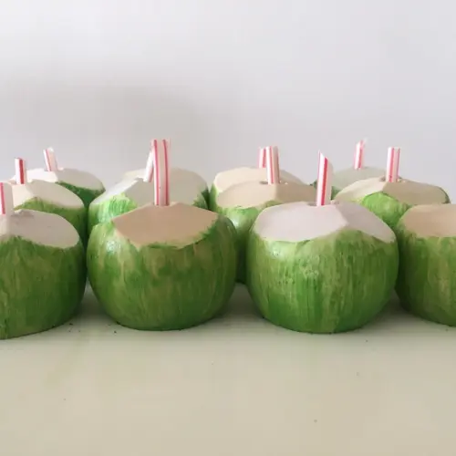 Lembrancinha Coco Verde Bahia Praia Havai Fruta Nordeste