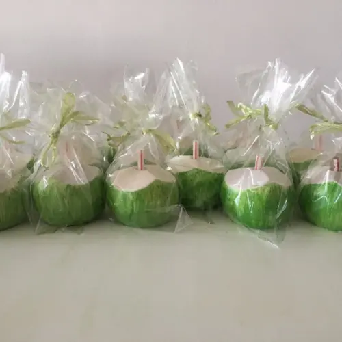 Lembrancinha Coco Verde Bahia Praia Havai Fruta Nordeste