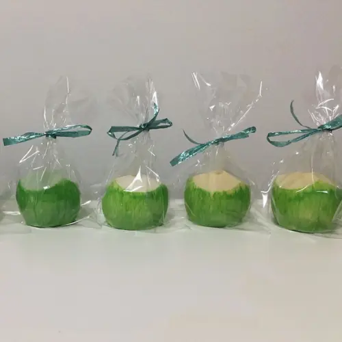 Lembrancinha Coco Verde Bahia Praia Havai Fruta Nordeste