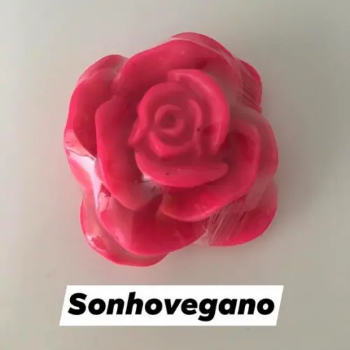 Lembrancinha Rosa Flor Fazendinha Festa Havaiana Praia Havaí bod
