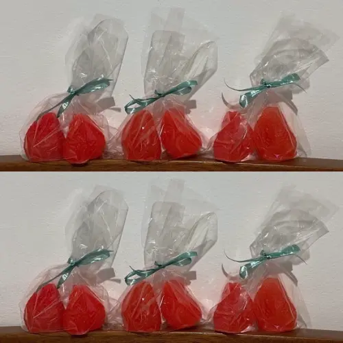 Lembrancinha Morango Silvestre Frutas Horta Fazendinha