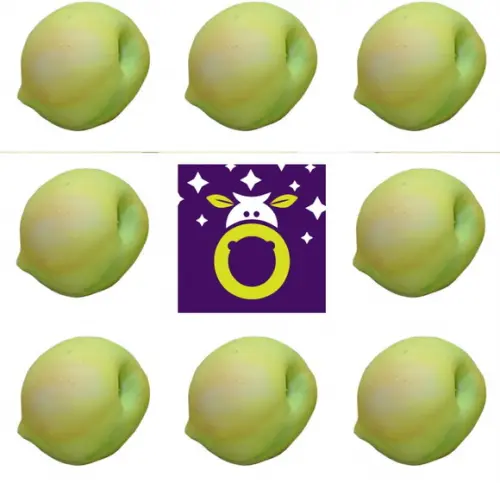 Lembrancinha Pêssego Fruta Hortinha Havaina Havai Praia