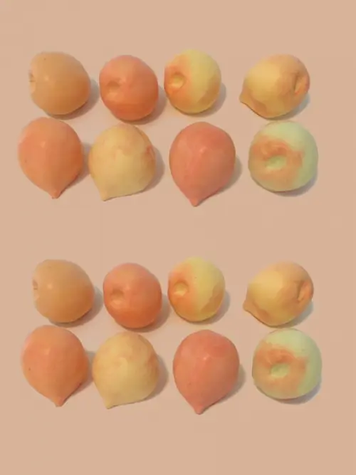 Lembrancinha Pêssego Fruta Hortinha Havaina Havai Praia