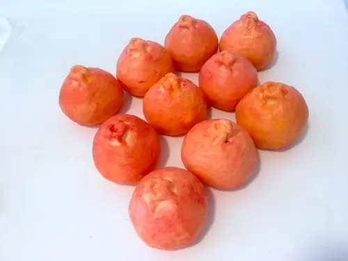 Lembrancinha Tangerina Mexerica Bergamota Frutas Fazendinha