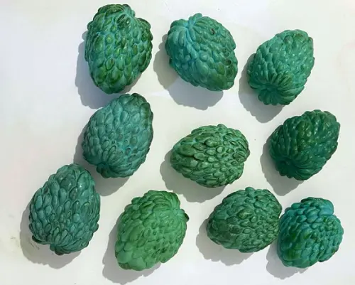 Lembrancinha Atemoia Fruta do Conde Pinha Sabonete de Fruta fazen
