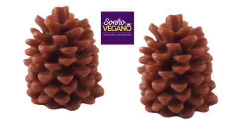 Lembrancinha Pinha Flor Pinheiro Festa na Roça Natal Vegano