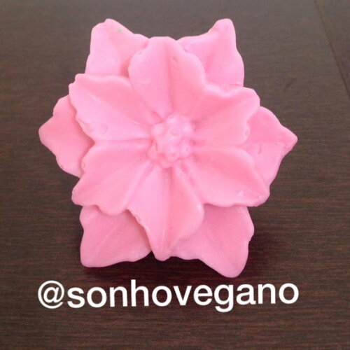 Lembrancinha Flor Bico de Papagaio Flores Jardim Lavabo cha de be