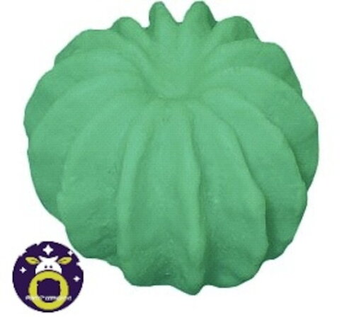Lembrancinha Cacto redondo Suculenta Planta Deserto Flor Faroeste