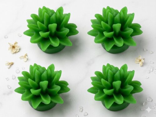 Lembrancinha Suculenta dedo de moça Cacto redondo Planta Deserto Flor Faroeste