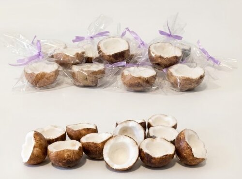 Lembrancinha Coco Frutas Festa no Havai Horta Quitanda nordeste