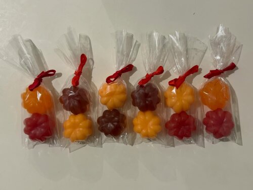 Lembrancinha Pitanga Fruta Hortinha Quitanda Festa Tropical