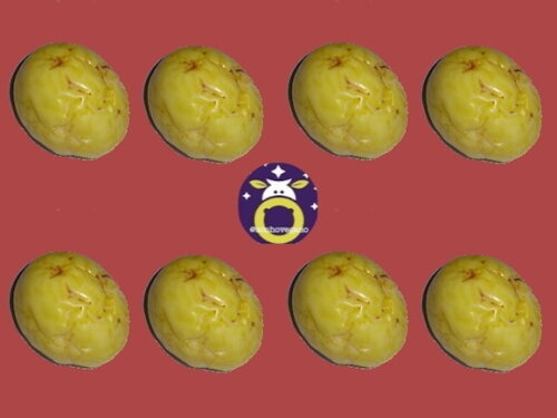 Lembrancinha Maracujá Festa Havaiana Tropical Horta Fruta
