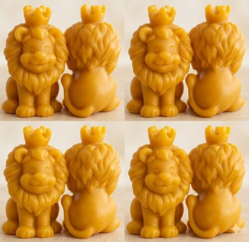 Lembrancinha o Rei Leão Selva cha de Bebe Safari Africa Simba Ca