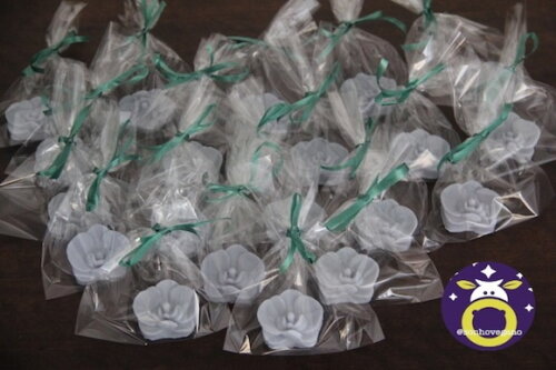 Lembrancinha Orquidea Jardim festa Havaiana Aniversário Flor cha