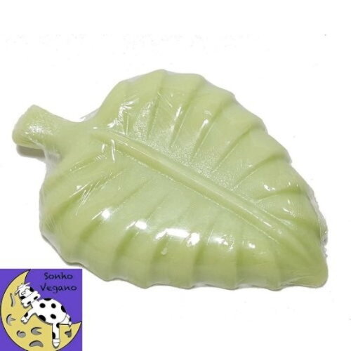 Lembrancinha Folha Mata Folhagem Arvore Aloe Vera Floresta oxossi