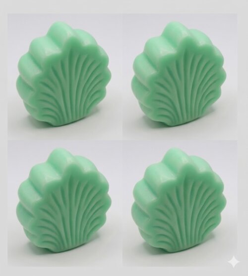 Lembrancinha Folha coroa Mata Folhagem Arvore Aloe Vera Floresta 