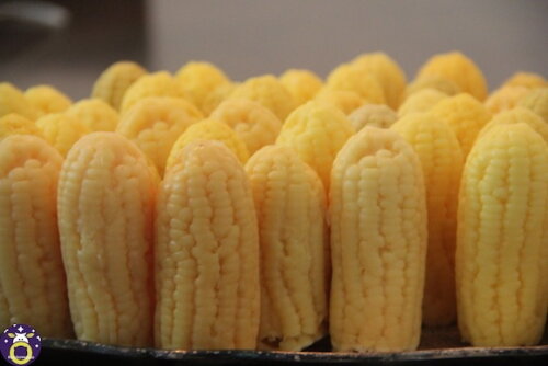 Lembrancinha Espiga de Milho Junina Caipira Roça Fazendinha