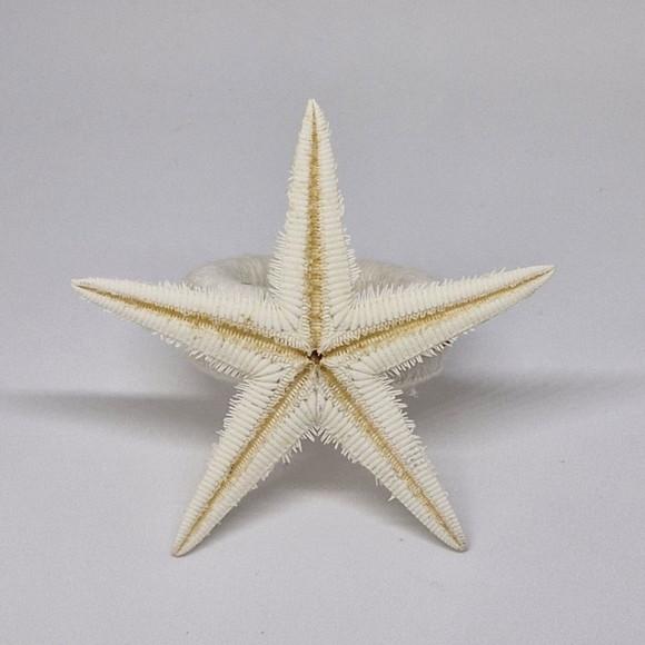 Porta Guardanapo Estrela do Mar Natural
