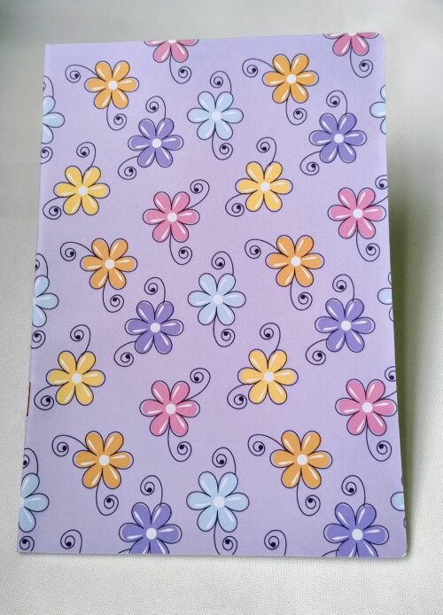 Kit 5 Cadernos Brochura Grampeado 20cm x 14cm 40 páginas