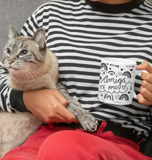 Caneca melhor Amiga lembrança amizade presente amiga