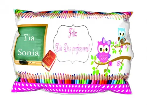 Presente Almofada Professora Escola Bíblica Ebd