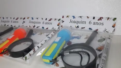 Kit Bloquinho + Mini Lápis + Lanterna + Lupa Insetos