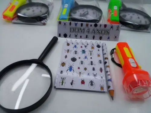Kit Bloquinho + Mini Lápis+lanterna+lupa Insetos
