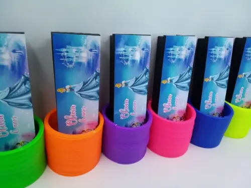 Kit Dominó e Mola Maluca Tema Cinderela