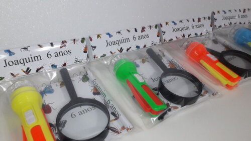 Kit Bloquinho + Mini Lápis + Lanterna + Lupa Insetos