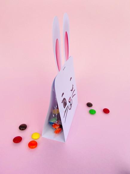 Porta Coloreti Coelhinho com o Doce- Páscoa