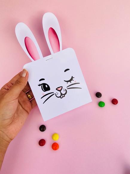 Porta Coloreti Coelhinho com o Doce- Páscoa
