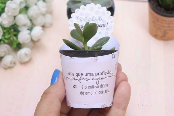Suclenta (apenas para São Paulo Capital)- Enfermagem