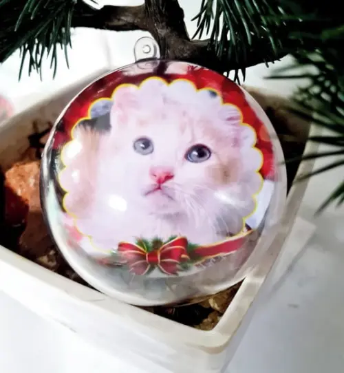 10 Bolas de Natal personalizadas 7,10 cm